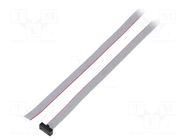 Ribbon cable with IDC connectors; IDC,wires; Tape ph: 0.64mm SAMTEC