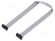 Ribbon cable with IDC connectors; IDC,both sides; 203.2mm; 8" SAMTEC