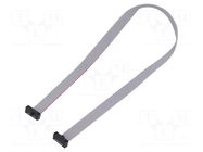 Ribbon cable with IDC connectors; IDC,both sides; 304.8mm; 12" SAMTEC