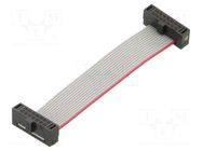 Ribbon cable with IDC connectors; IDC,both sides; 50.8mm; 2" SAMTEC