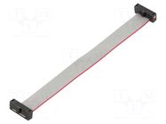 Ribbon cable with IDC connectors; IDC,both sides; 101.6mm; 4" SAMTEC