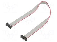 Ribbon cable with IDC connectors; IDC,both sides; 203.2mm; 8" SAMTEC