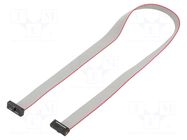 Ribbon cable with IDC connectors; IDC,both sides; 304.8mm; 12" SAMTEC