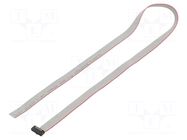 Ribbon cable with IDC connectors; IDC,wires; Tape ph: 0.64mm SAMTEC