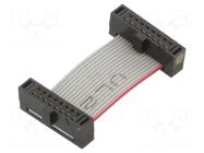Ribbon cable with IDC connectors; IDC,both sides; 25.4mm; 1" SAMTEC