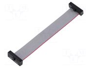 Ribbon cable with IDC connectors; IDC,both sides; 76.2mm; 3" SAMTEC