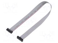Ribbon cable with IDC connectors; IDC,both sides; 254mm; 10" SAMTEC