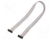 Ribbon cable with IDC connectors; IDC,both sides; 304.8mm; 12" SAMTEC