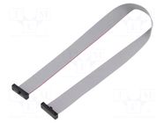 Ribbon cable with IDC connectors; IDC,both sides; 304.8mm; 12" SAMTEC