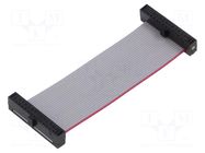 Ribbon cable with IDC connectors; IDC,both sides; 55.88mm; 2.2" SAMTEC