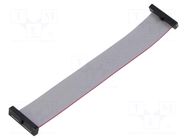 Ribbon cable with IDC connectors; IDC,both sides; 114.3mm; 4.5" SAMTEC