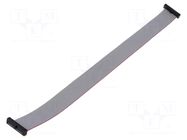 Ribbon cable with IDC connectors; IDC,both sides; 228.6mm; 9" SAMTEC