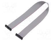 Ribbon cable with IDC connectors; IDC,both sides; 279.4mm; 11" SAMTEC
