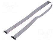 Ribbon cable with IDC connectors; IDC,both sides; 635mm; 25" SAMTEC