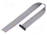 Ribbon cable with IDC connectors; IDC,wires; Tape ph: 0.64mm SAMTEC