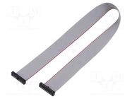 Ribbon cable with IDC connectors; IDC,both sides; 355.6mm; 14" SAMTEC