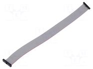 Ribbon cable with IDC connectors; IDC,both sides; 254mm; 10" SAMTEC