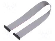 Ribbon cable with IDC connectors; IDC,both sides; 304.8mm; 12" SAMTEC