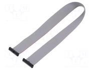 Ribbon cable with IDC connectors; IDC,both sides; 381mm; 15" SAMTEC