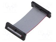 Ribbon cable with IDC connectors; IDC,both sides; 50.8mm; 2" SAMTEC