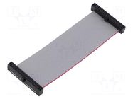 Ribbon cable with IDC connectors; IDC,both sides; 76.2mm; 3" SAMTEC