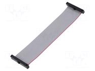 Ribbon cable with IDC connectors; IDC,both sides; 101.6mm; 4" SAMTEC