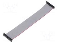 Ribbon cable with IDC connectors; IDC,both sides; 139.7mm; 5.5" SAMTEC