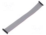 Ribbon cable with IDC connectors; IDC,both sides; 203.2mm; 8" SAMTEC