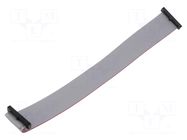 Ribbon cable with IDC connectors; IDC,both sides; 203.2mm; 8" SAMTEC