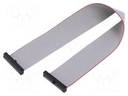 Ribbon cable with IDC connectors; IDC,both sides; 228.6mm; 9" SAMTEC