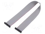 Ribbon cable with IDC connectors; IDC,both sides; 304.8mm; 12" SAMTEC