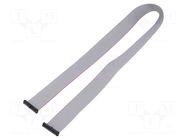 Ribbon cable with IDC connectors; IDC,both sides; 609.6mm; 24" SAMTEC