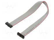 Ribbon cable with IDC connectors; IDC,both sides; 203.2mm; 8" SAMTEC