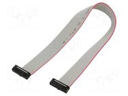 Ribbon cable with IDC connectors; IDC,both sides; 203.2mm; 8" SAMTEC