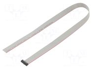 Ribbon cable with IDC connectors; IDC,wires; Tape ph: 0.64mm SAMTEC