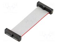 Ribbon cable with IDC connectors; IDC,both sides; 50.8mm; 2" SAMTEC