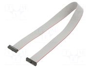 Ribbon cable with IDC connectors; IDC,both sides; 304.8mm; 12" SAMTEC