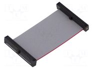 Ribbon cable with IDC connectors; IDC,both sides; 50.8mm; 2" SAMTEC