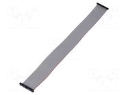 Ribbon cable with IDC connectors; IDC,both sides; 304.8mm; 12" SAMTEC