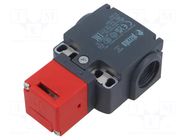 Sensor: limit switch; IP67; plastic; -25÷80°C; max.250VDC; 10A PIZZATO ELETTRICA