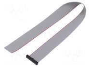 Ribbon cable with IDC connectors; IDC,wires; Tape ph: 0.64mm SAMTEC