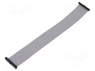 Ribbon cable with IDC connectors; IDC,both sides; 203.2mm; 8" SAMTEC