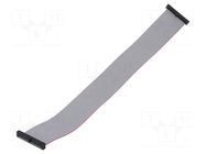 Ribbon cable with IDC connectors; IDC,both sides; 228.6mm; 9" SAMTEC