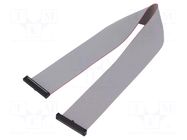 Ribbon cable with IDC connectors; IDC,both sides; 304.8mm; 12" SAMTEC