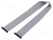 Ribbon cable with IDC connectors; IDC,both sides; 431.8mm; 17" SAMTEC