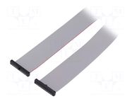 Ribbon cable with IDC connectors; IDC,both sides; 609.6mm; 24" SAMTEC