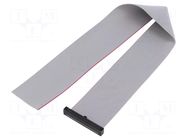 Ribbon cable with IDC connectors; IDC,wires; Tape ph: 0.64mm SAMTEC