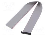 Ribbon cable with IDC connectors; IDC,wires; Tape ph: 0.64mm SAMTEC