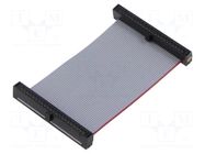 Ribbon cable with IDC connectors; IDC,both sides; 50.8mm; 2" SAMTEC