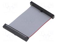 Ribbon cable with IDC connectors; IDC,both sides; 50.8mm; 2" SAMTEC